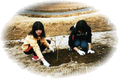 どんぐりの苗植える