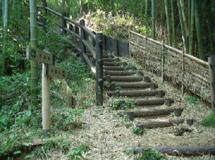 中野竹林急勾配