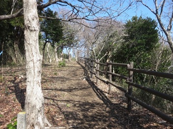 小笹のこみち拡張後