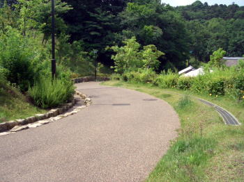 カーブ道路