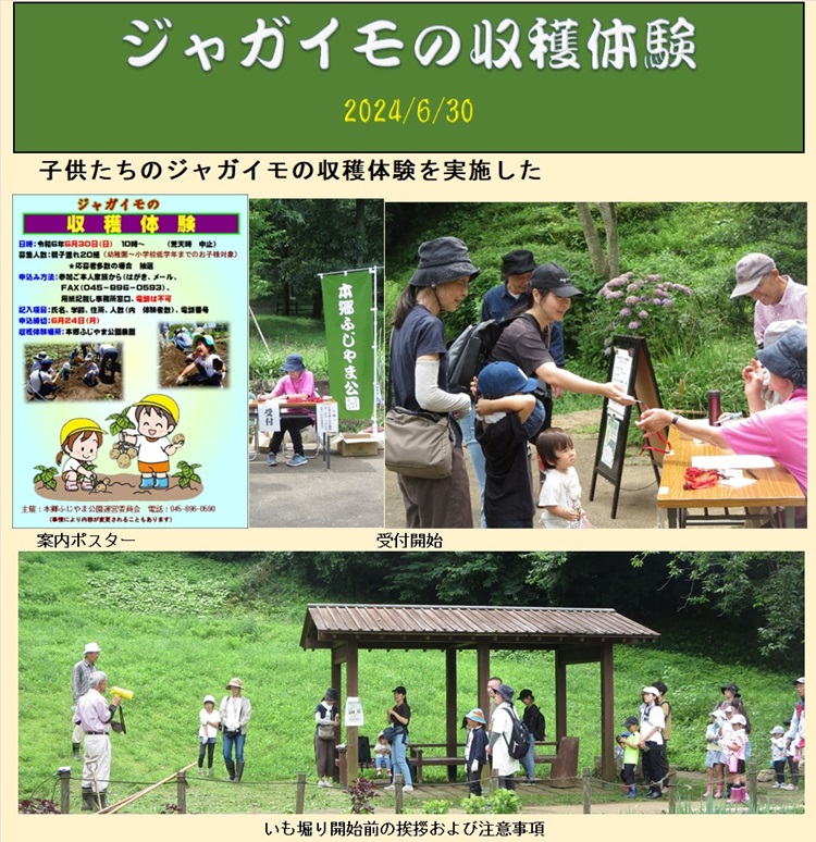 ジャガイモの収穫体験1