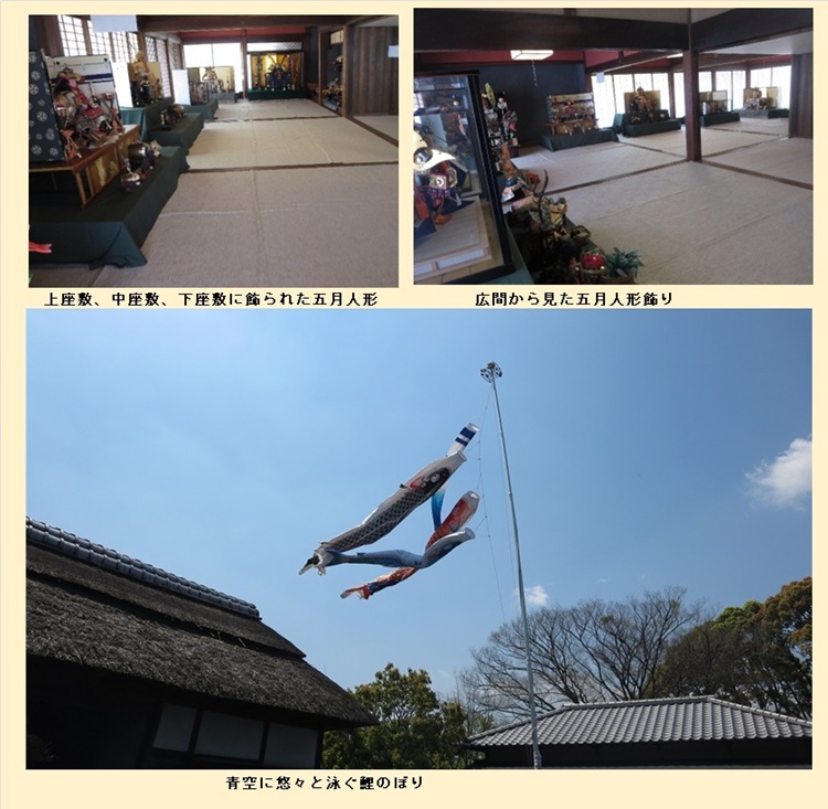 5月人形飾り2025_3