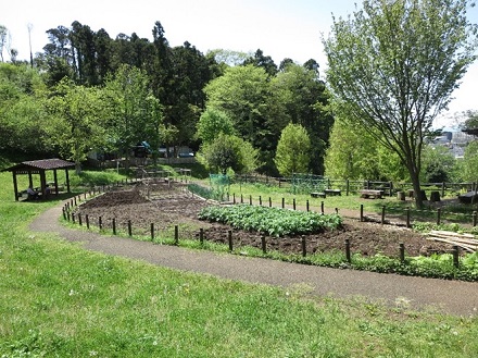 ふじやま農園全景
