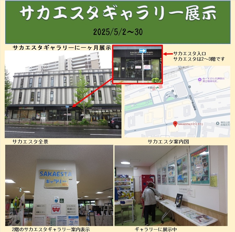 サカエスタギャラリー展示_1